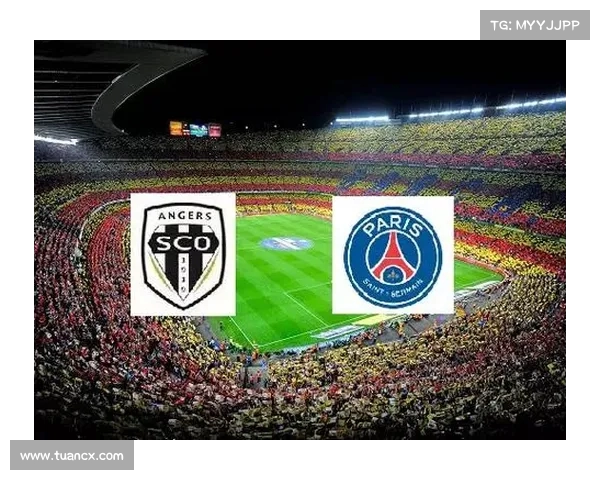 法甲联赛收入分析与其经济影响力对比其他欧洲足球联赛