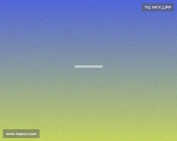 纽卡斯尔联高度关注佳夫表现尚未提出报价