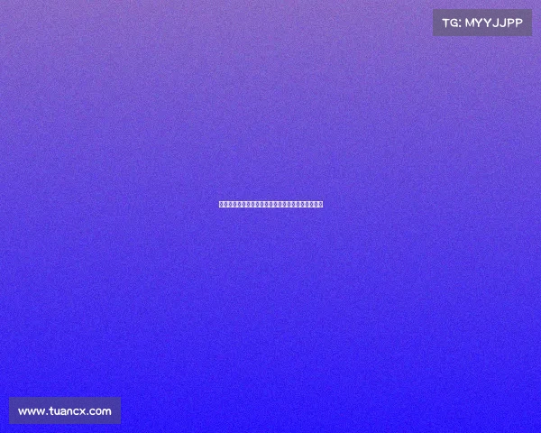 纽卡斯尔联向米兰询问佳夫转会事宜欲加强阵容实力