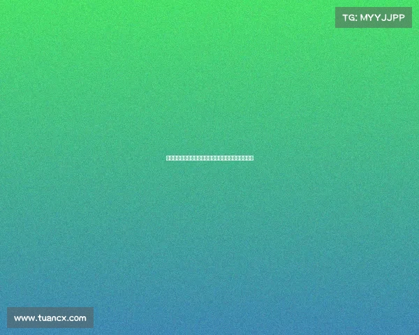 面对四份合同如何选择最适合你的那一份分析与决策技巧